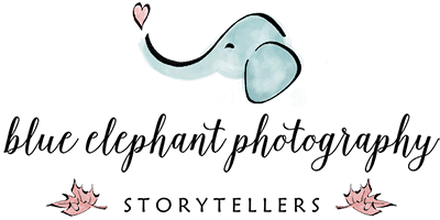 Blue Elephant Photography